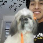 - AN�NIMO