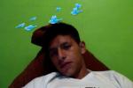 - AN�NIMO