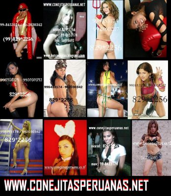 - AN�NIMO