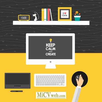 Curriculum Vitae micvweb.com